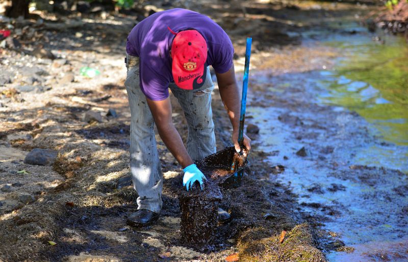 A volunteer attempts to clean spilled oil from the bulk