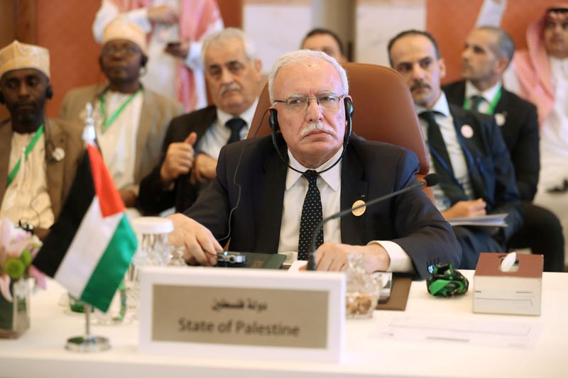 FILE PHOTO: Palestinian Foreign Minister Riyad al-Maliki is seen during
