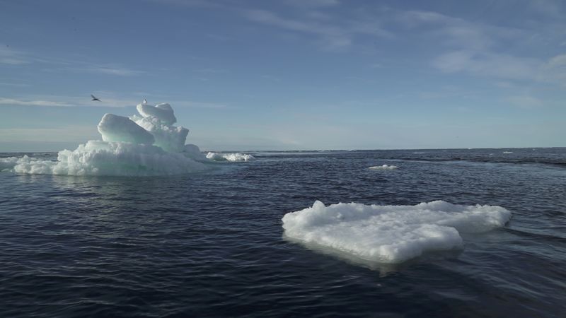 FILE PHOTO: Floating ice is seen during the expedition of