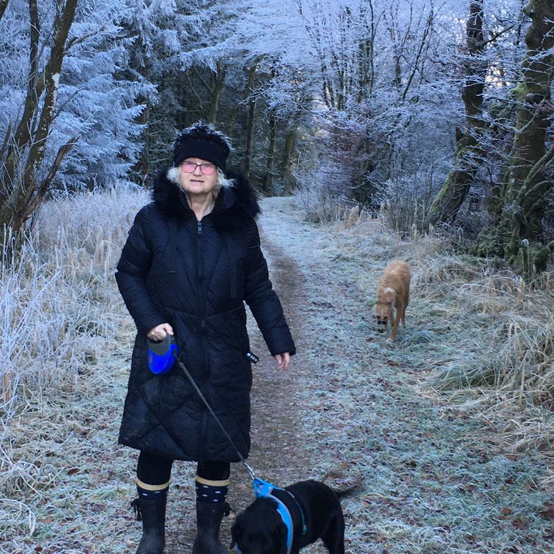 Bev Francis-Green walks her dog in Carlisle