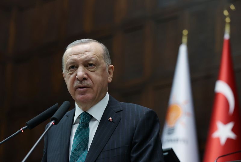 Turkish President Tayyip Erdogan addresses members of parliament from his