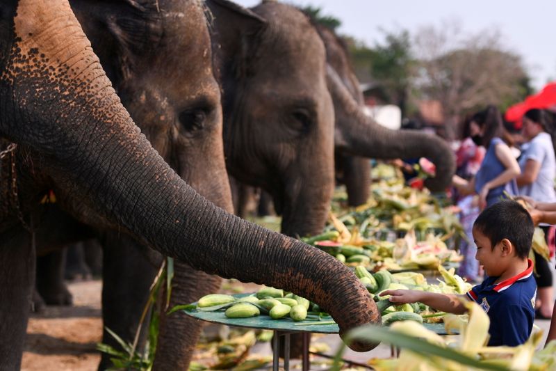 Thailand’s National Elephant Day celebration in the ancient city of