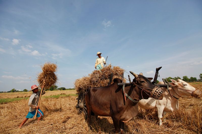 FILE PHOTO: ‘Troubling’ signs of Myanmar food prices rises since