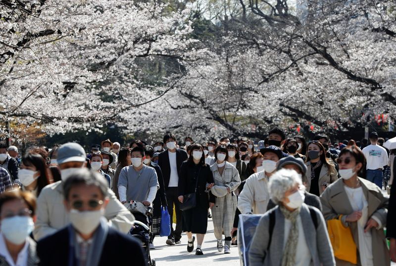 Visitors wearing protective face masks admire blooming cherry blossoms amid