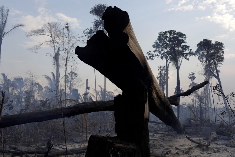 FILE PHOTO: A burning tract of the Amazon forest as