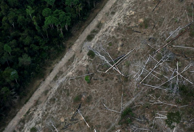 FILE PHOTO: An aerial view shows a deforested plot of
