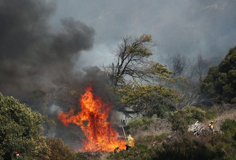 Firefighters battle a bushfire  that broke out on the