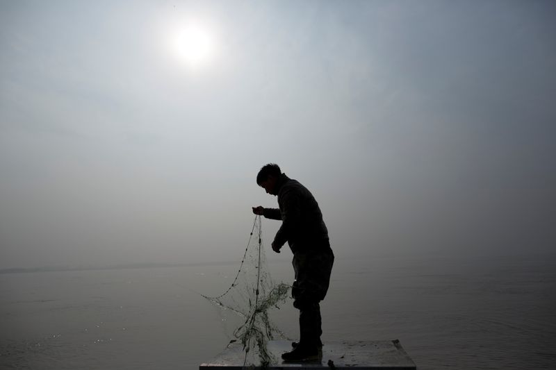 Fisherman Sun Lianxi stands in a boat as he drops