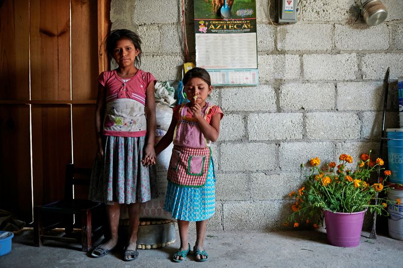 Children of the Nahua indigenous community of Alcozacan
