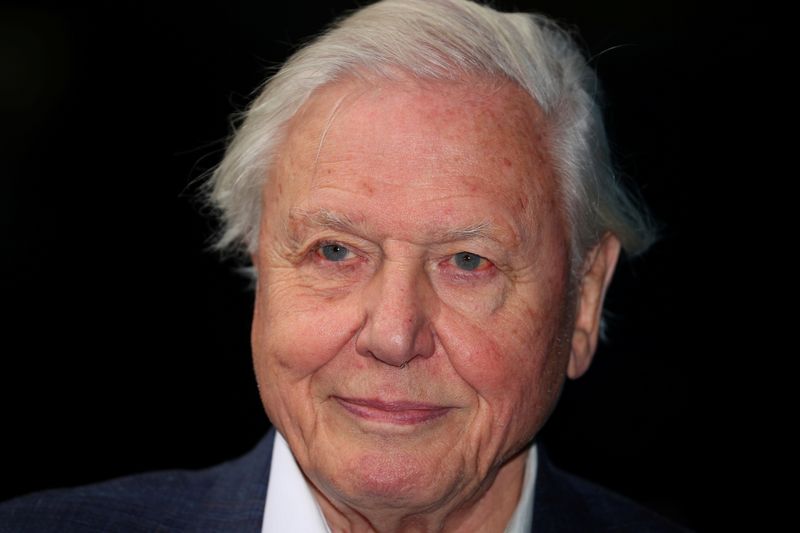 FILE PHOTO: Broadcaster and film maker David Attenborough attends the