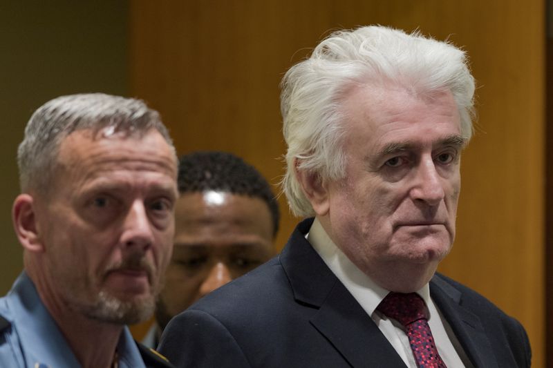 Former Bosnian Serb leader Radovan Karadzic appears before the Appeals