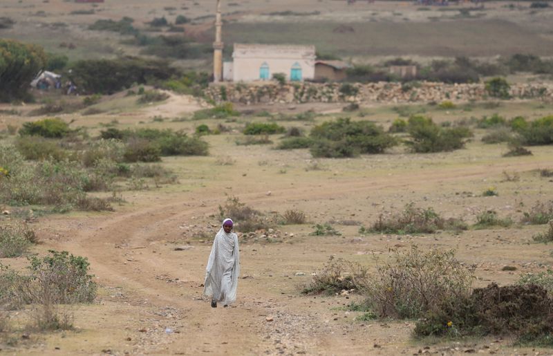 An internally displaced Ethiopian girl walks back to her village