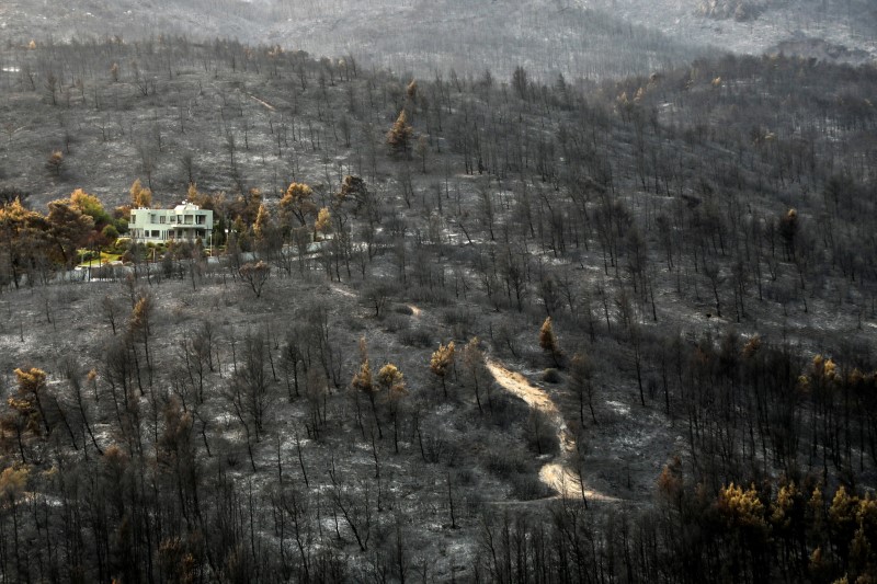 Aftermath of a wildfire north of Athens
