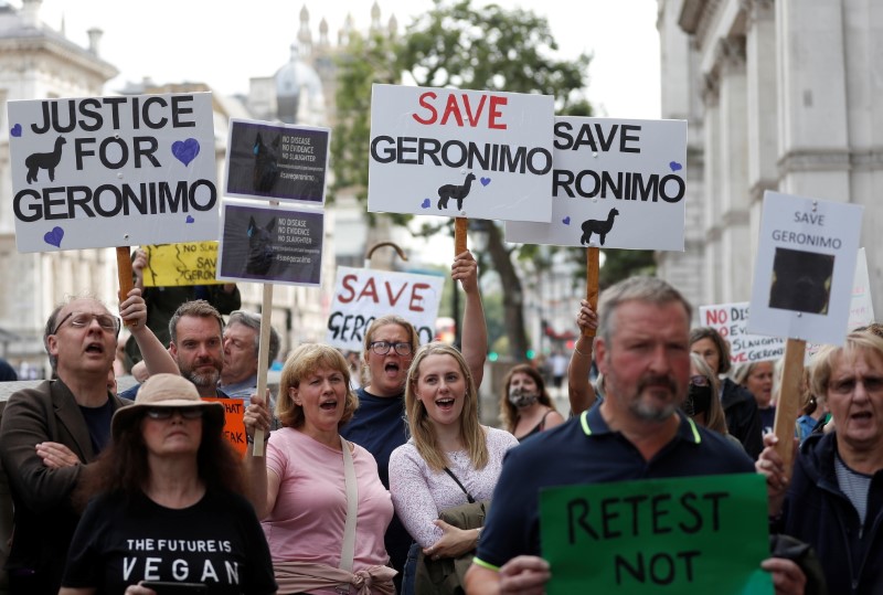 Protesters demonstrate against the ruling that Geronimo, an Alpaca believed