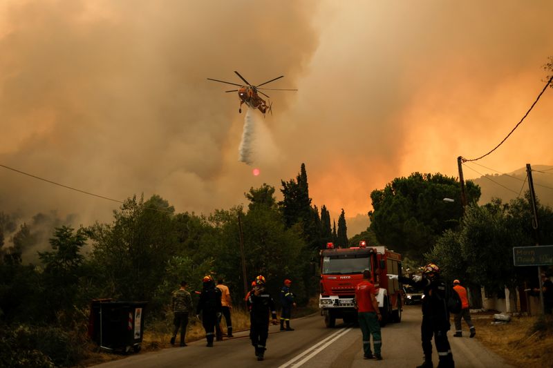 Wildfire in the village of Vilia