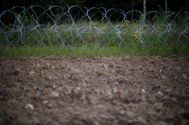 Barbered wire is pictured at the Polish-Belarusian border near the