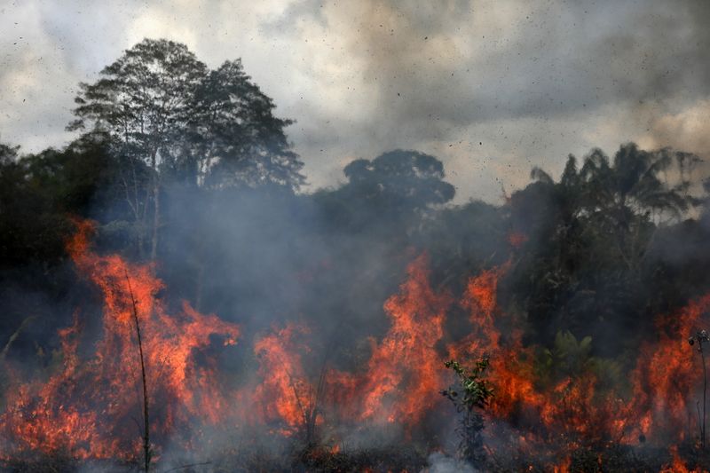 Fires surge in Brazilian Amazon for third straight year in