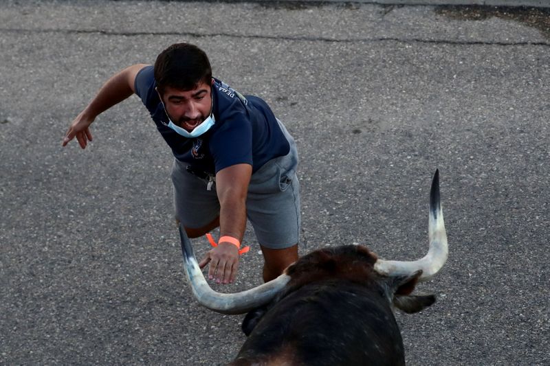 A reveller calls a steer during a running-of-the-bull festival in