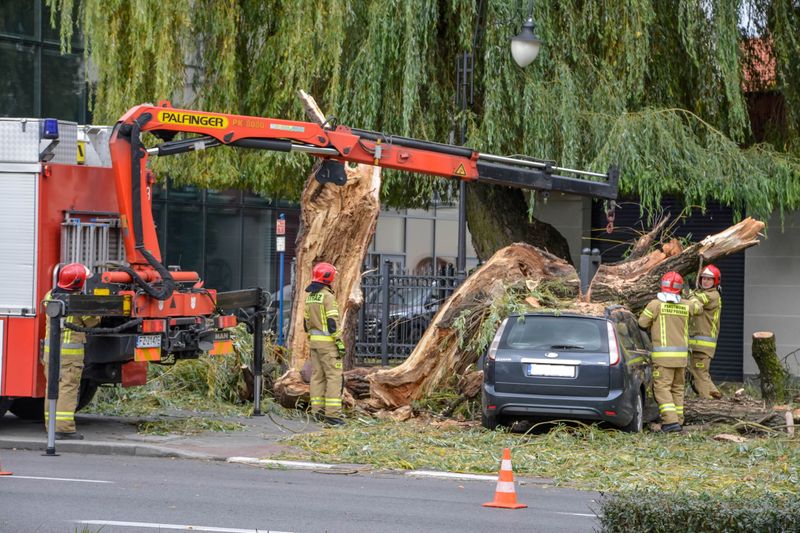 Firefighters remove a fallen tree after very strong winds in
