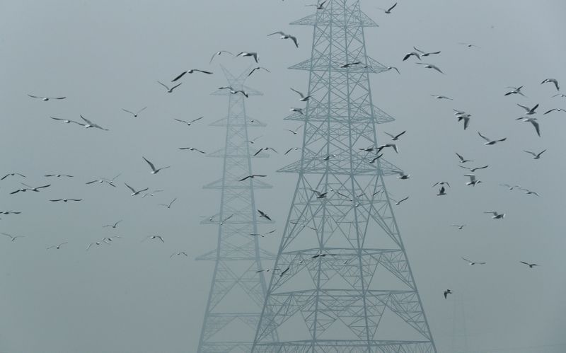 FILE PHOTO: Birds fly next to electricity pylons on a