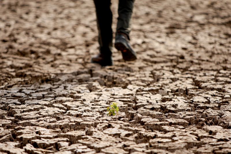 Person walks along cracks at the partly dried up Devegecidi