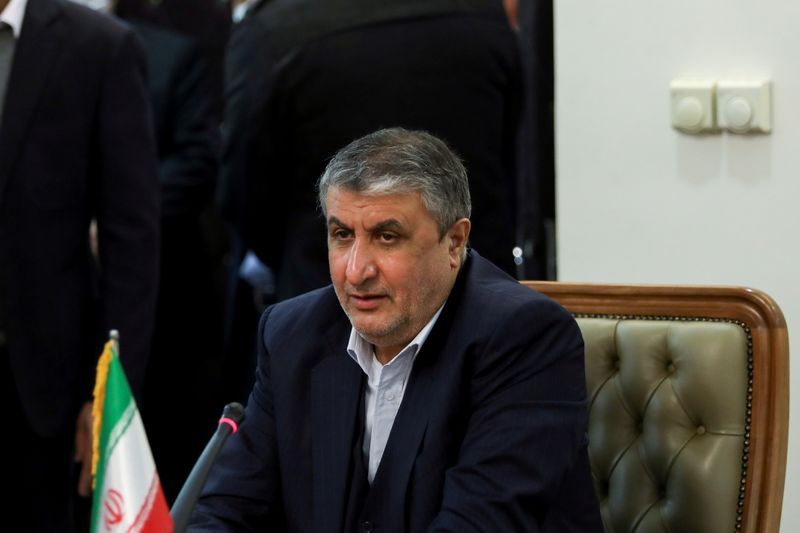 Head of Iran’s Atomic Energy Organization Eslami meets with IAEA