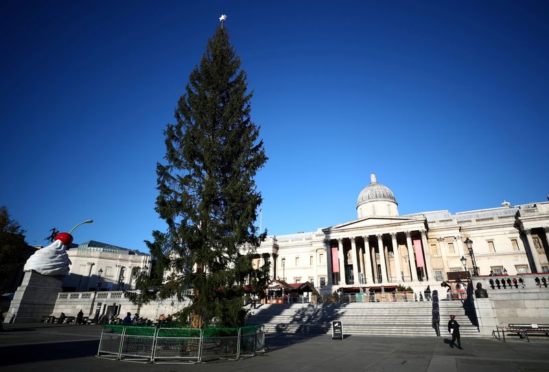 FILE PHOTO: A view of the Trafalgar Square Christmas tree