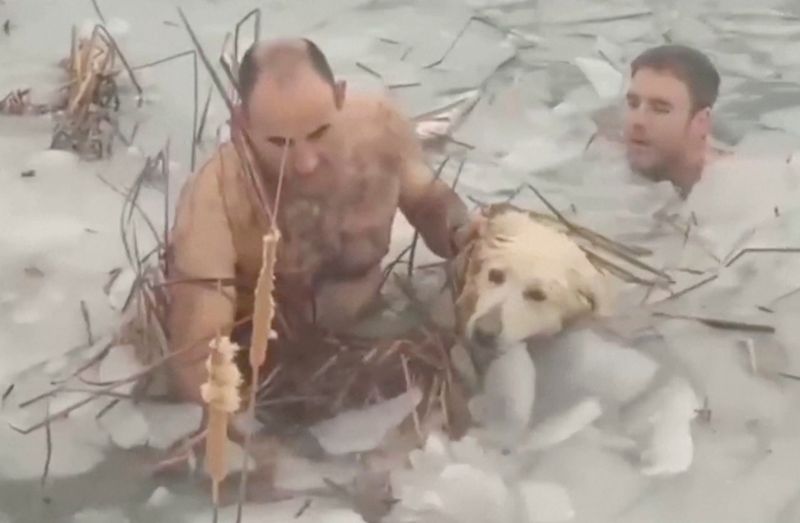 Police rescue dog from frozen reservoir as cold front hits