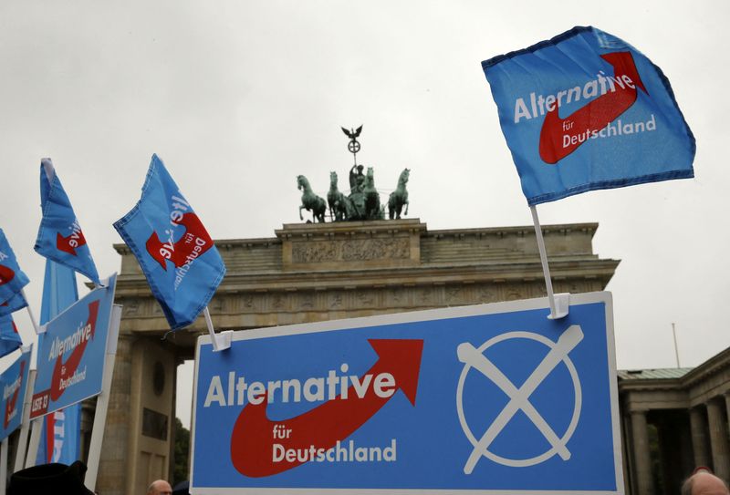 Flags of the euro-critical Alternative for Germany AFD party are