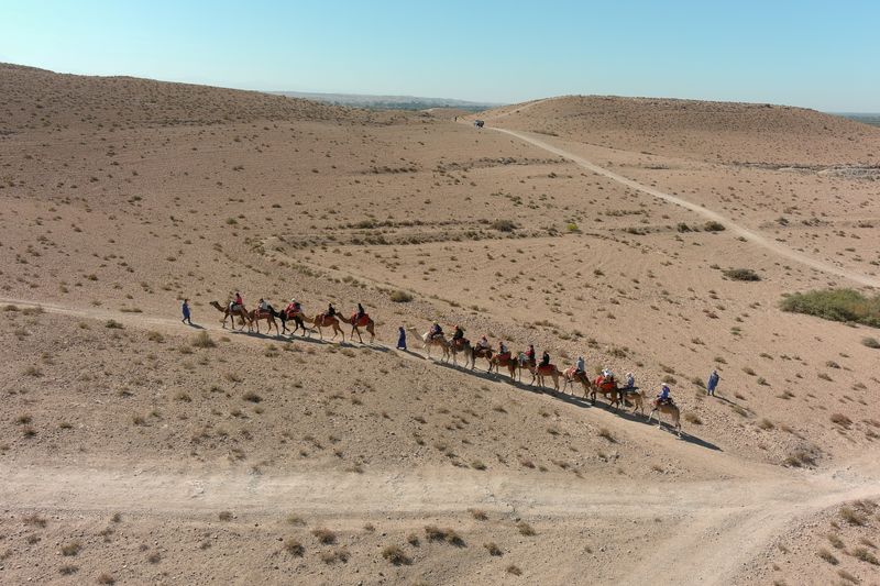 FILE PHOTO: An aerial view of tourists riding camels in