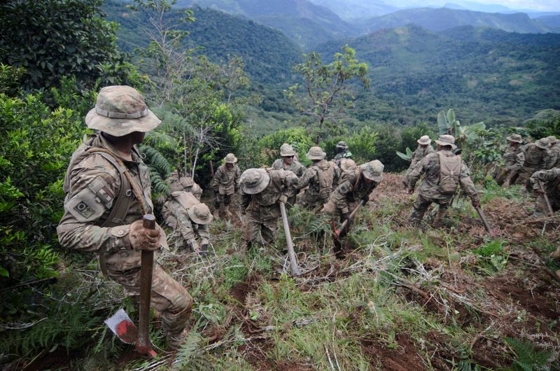 Bolivian soldiers destroy illegal coca plants during an eradication program,