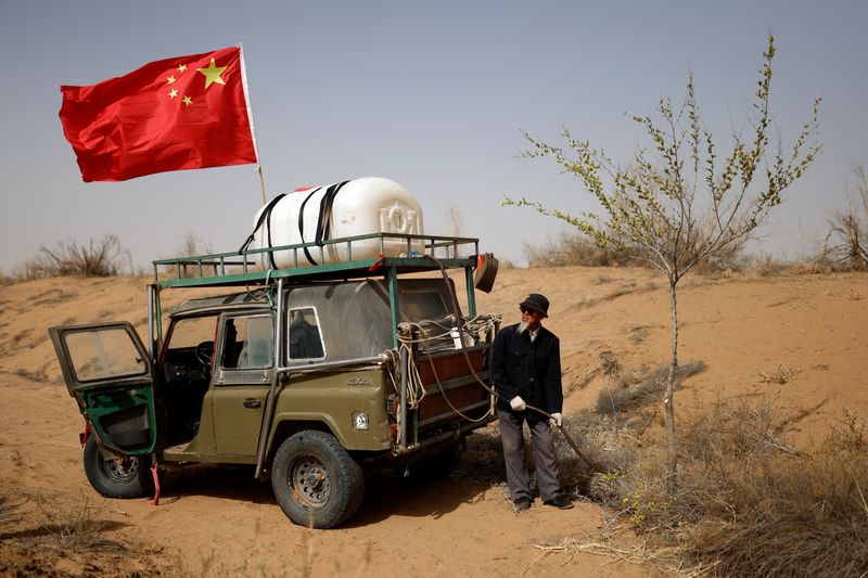 The Wider Image: The Great Green Wall: China’s farmers push