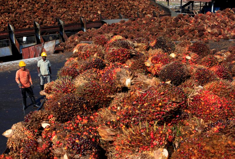 Workers stand near palm oil fruits inside a palm oil