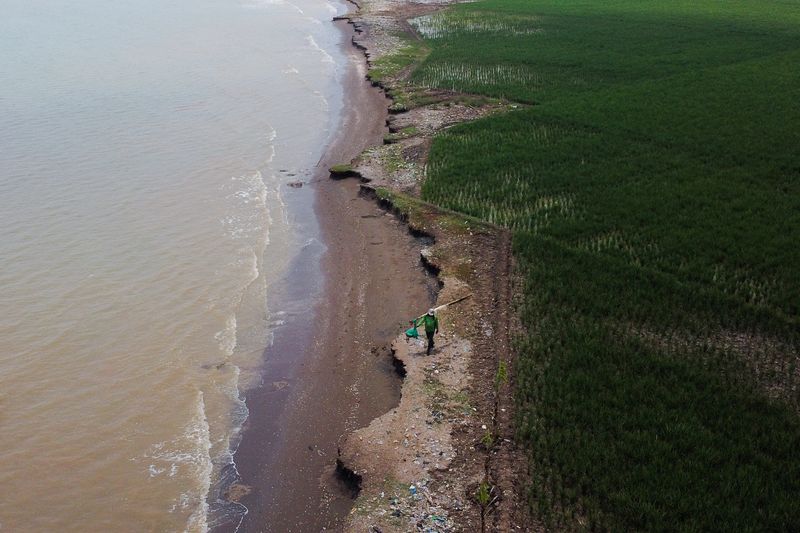 Environmentalist fights Indonesia’s coastal erosion with fairy tales, puppet shows