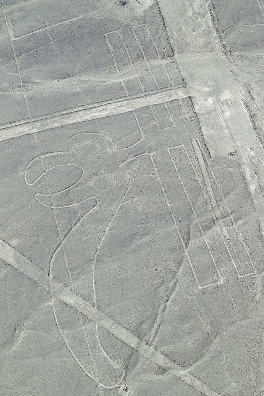 FILE PHOTO: Aerial view of the Parrot Nazca Lines in