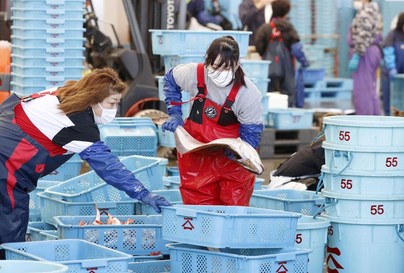 Workers sort fishes after a fishing operation at Matsukawaura fishing