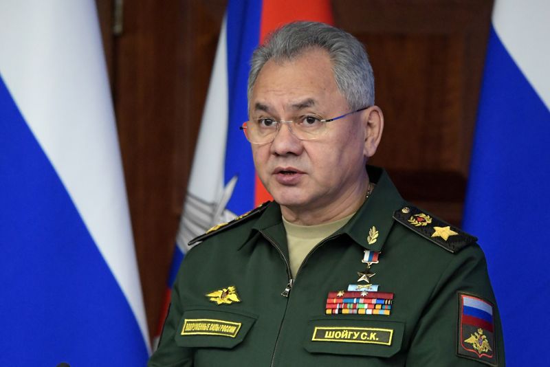 FILE PHOTO: Russian Defence Minister Sergei Shoigu attends a meeting