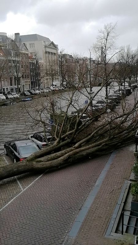 FILE PHOTO: Storm Eunice hits Netherlands
