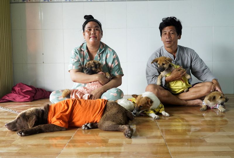 Vietnam couple adopt new dogs after 15 dogs were culled