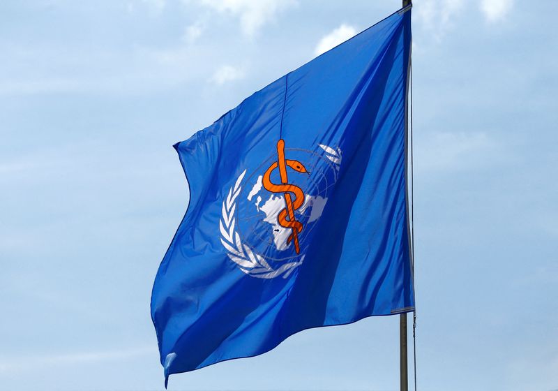 FILE PHOTO: A WHO flag is pictured during a break