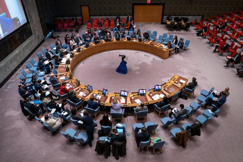 FILE PHOTO: The United Nations Security Council assembles for a