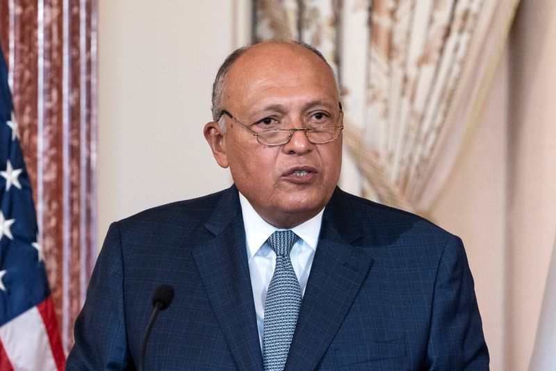 FILE PHOTO: Egyptian Foreign Minister Sameh Shoukry speaks during a