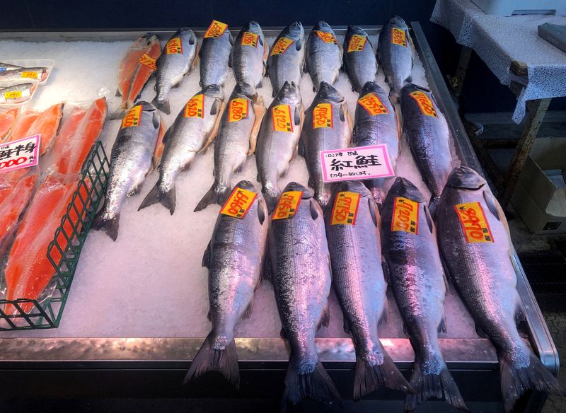 FILE PHOTO: Russian salmon are displayed at a fish store