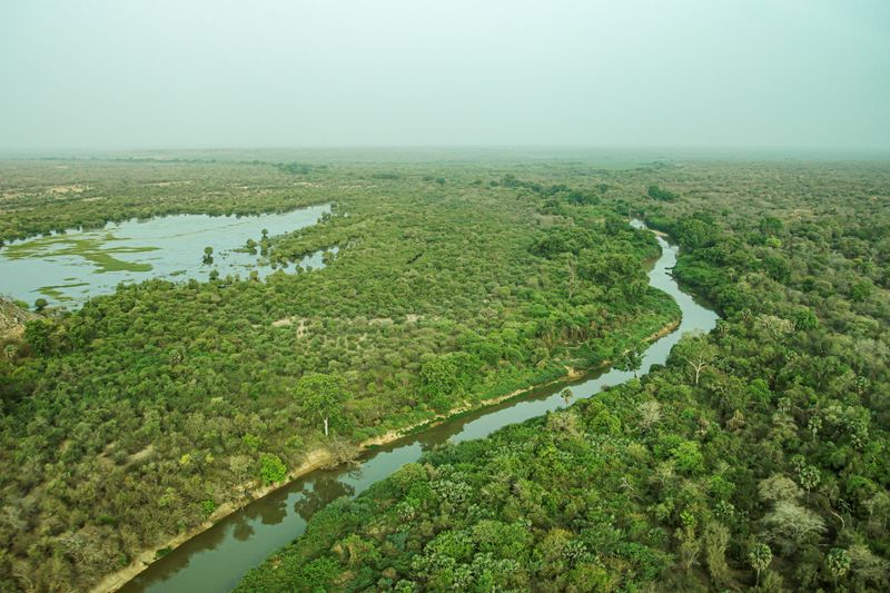 A view of the W National Park in northern Benin