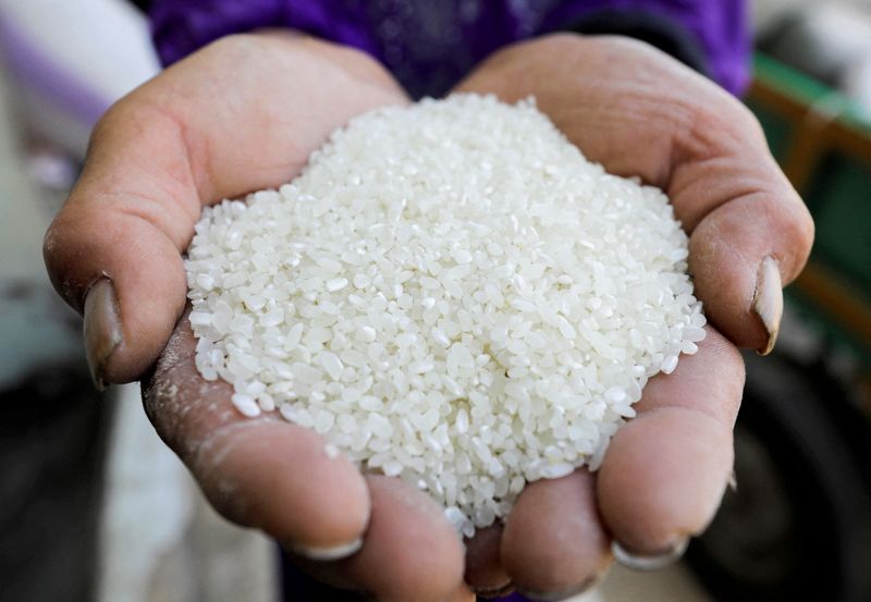 FILE PHOTO: A farmer shows rice grains after harvesting it