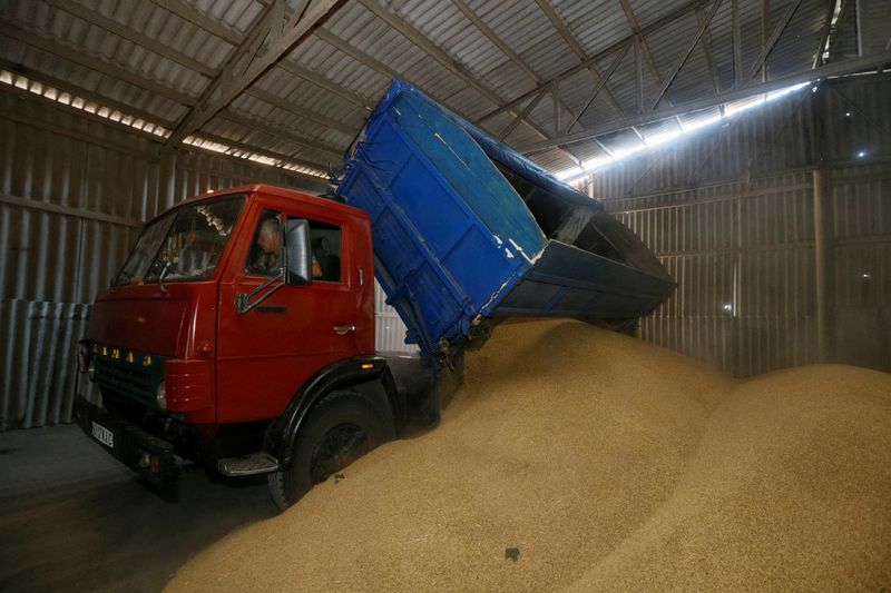 FILE PHOTO: A truck unloads at a grain store during