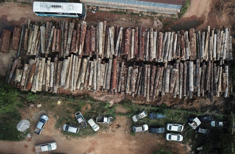 FILE PHOTO: An aerial view shows logs that were illegally