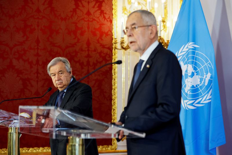 Austrian President Van der Bellen meets with UN Secretary-General Guterres