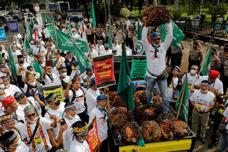 Indonesian palm oil farmers protest demanding the government to end