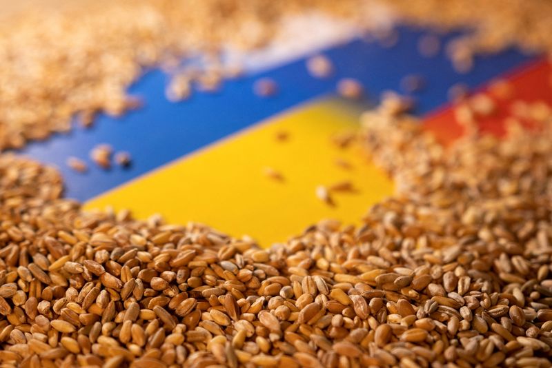 FILE PHOTO: Illustration shows Ukrainian and Russian flags and grain